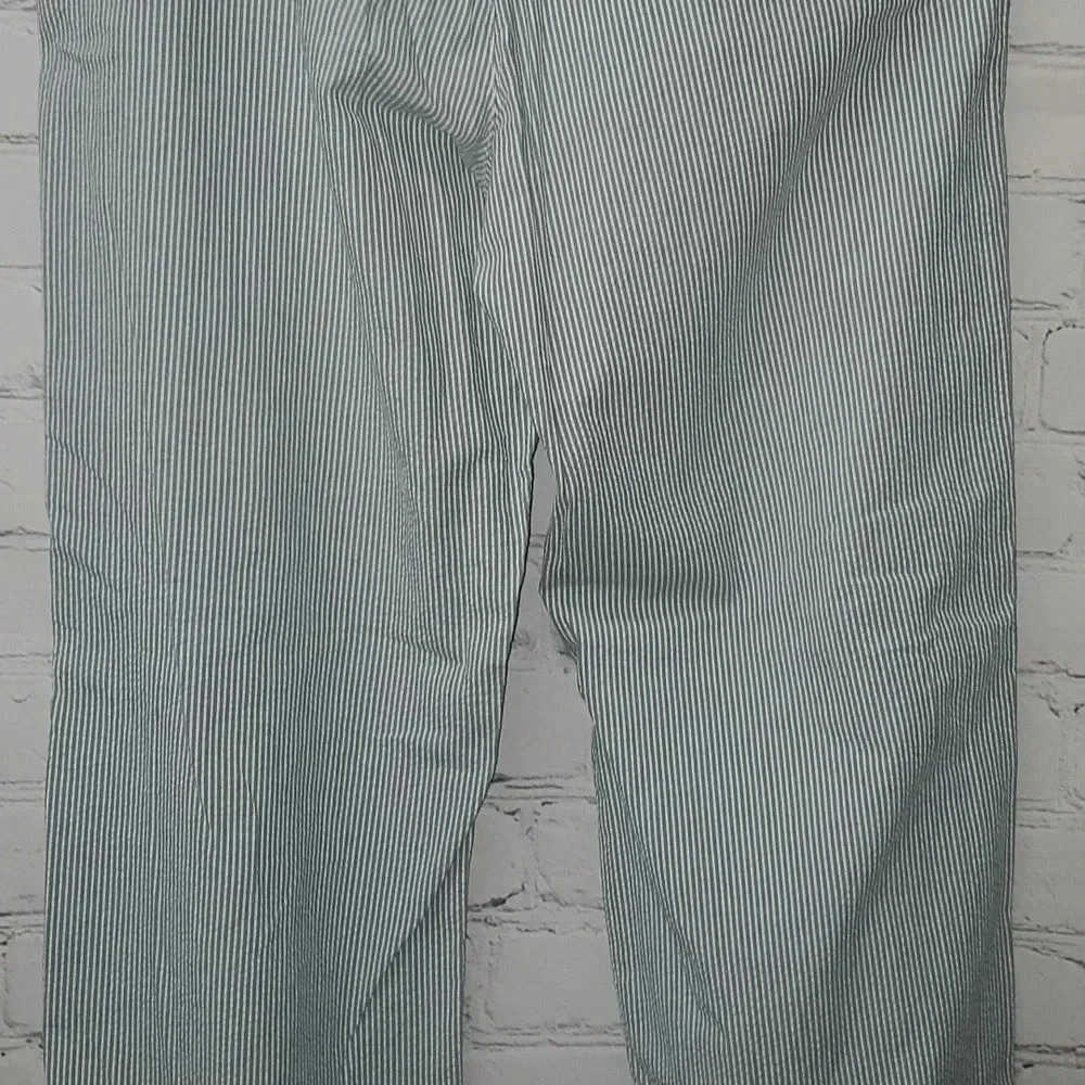 American Eagle Outfitters Classic Fit Flat Front Blue Pin Stripe Chinco Pants - Picture 3 of 12
